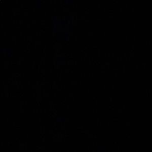 Meet your Posher, Rita